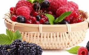telechuches_chuches_frutos_del_bosque